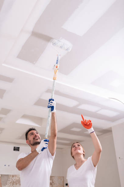 Professional Mold Removal in Ohatchee, AL