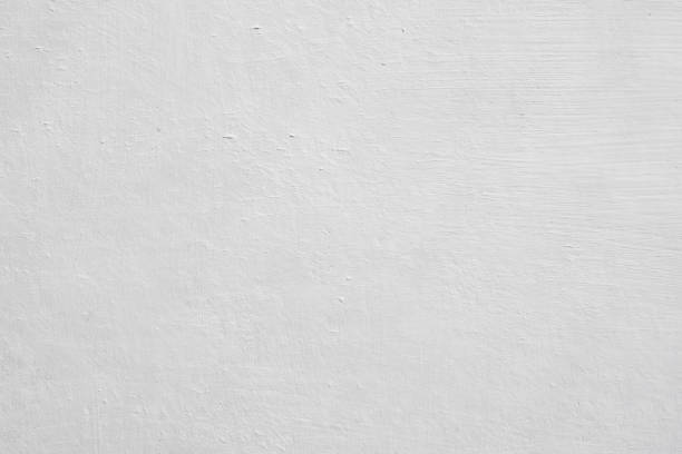  Ohatchee, AL Mold Removal Pros