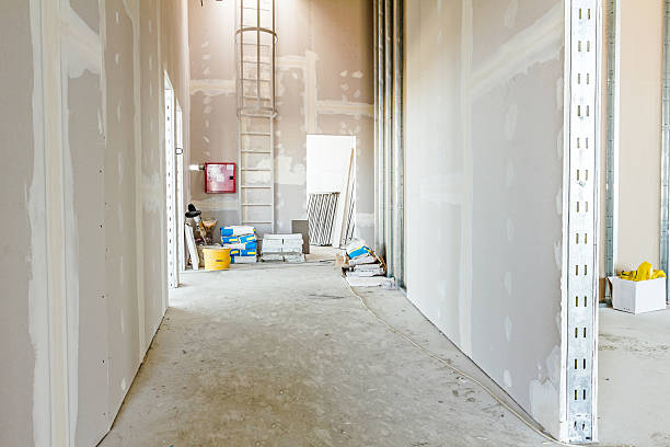 Mold Remediation for Rental Properties in Ohatchee, AL